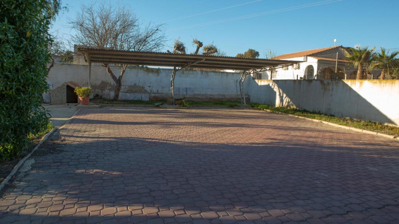 Estudio Adosado Acogedor Con Jardin, Barbacoa Y Parking Privado Alicante Exterior foto
